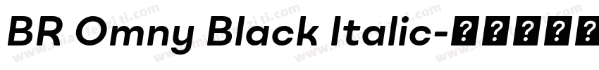 BR Omny Black Italic字体转换